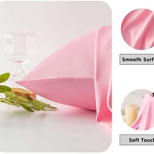 Natural Mulberry Silk Pillowcase for Hair and Skin Queen Size 20″X30″ Pink Pillow Case with Hidden Zipper Soft Breathable Smooth Cooling Silk Pillow Covers for Sleeping (Pink,Queen,1Pcs)