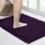 Walensee Non-Slip Bathroom Rugs Chenille Soft Striped Plush Bath Mat, 17″ x 24″, Dark Purple
